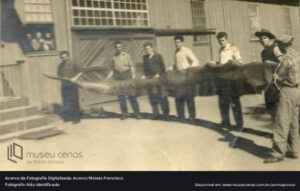 Trabalhadores com uma Sucuri