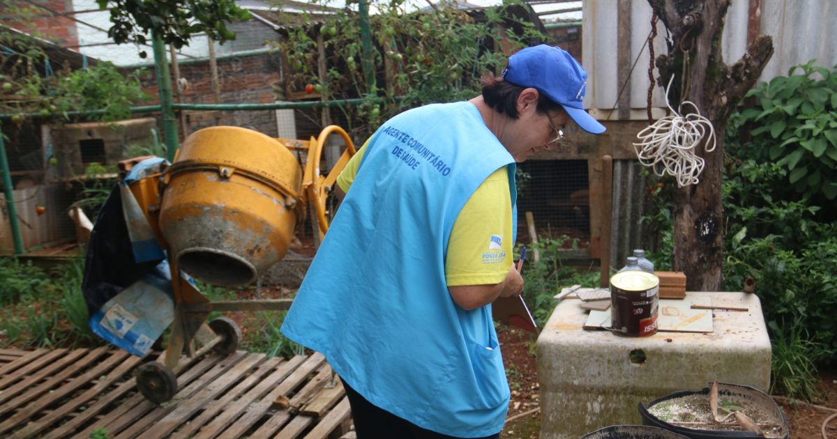 PG recebe canal de denúncias via WhatsApp para fiscalizar criadouros de mosquito da dengue