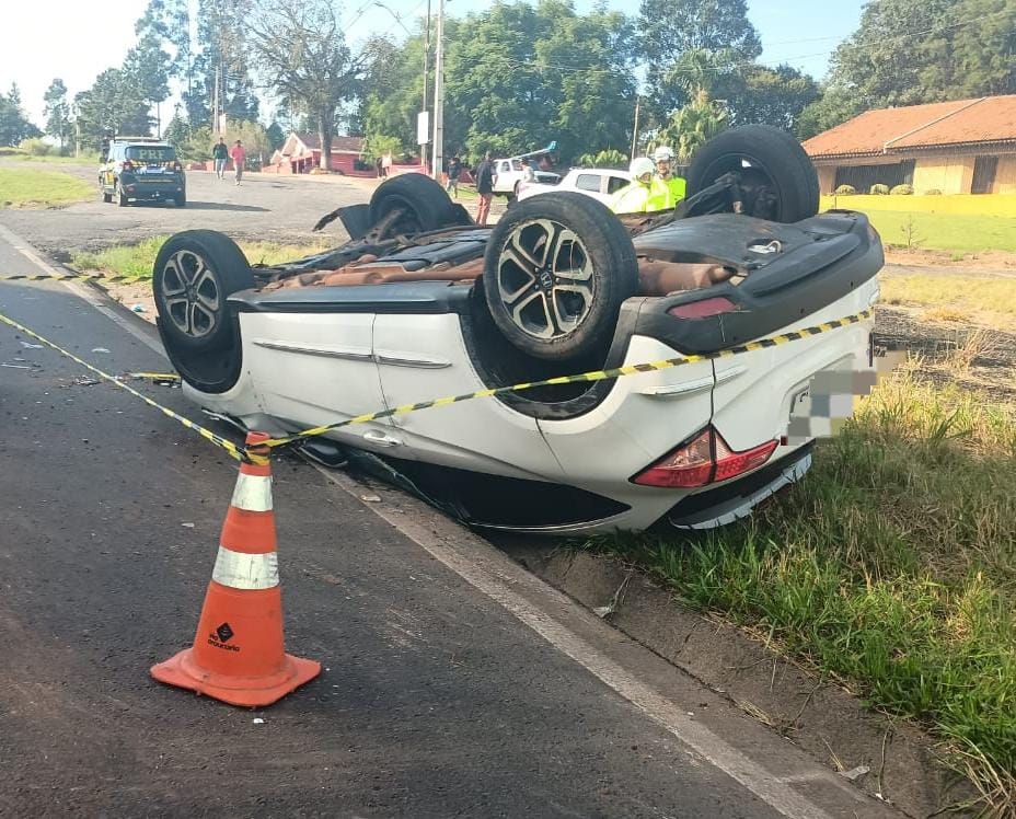 PRF apreende cerca de 290 kg de maconha em Palmeira