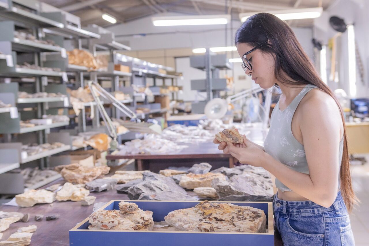 Laboratório de Paleontologia da UEPG guarda tesouros de 400 milhões de anos