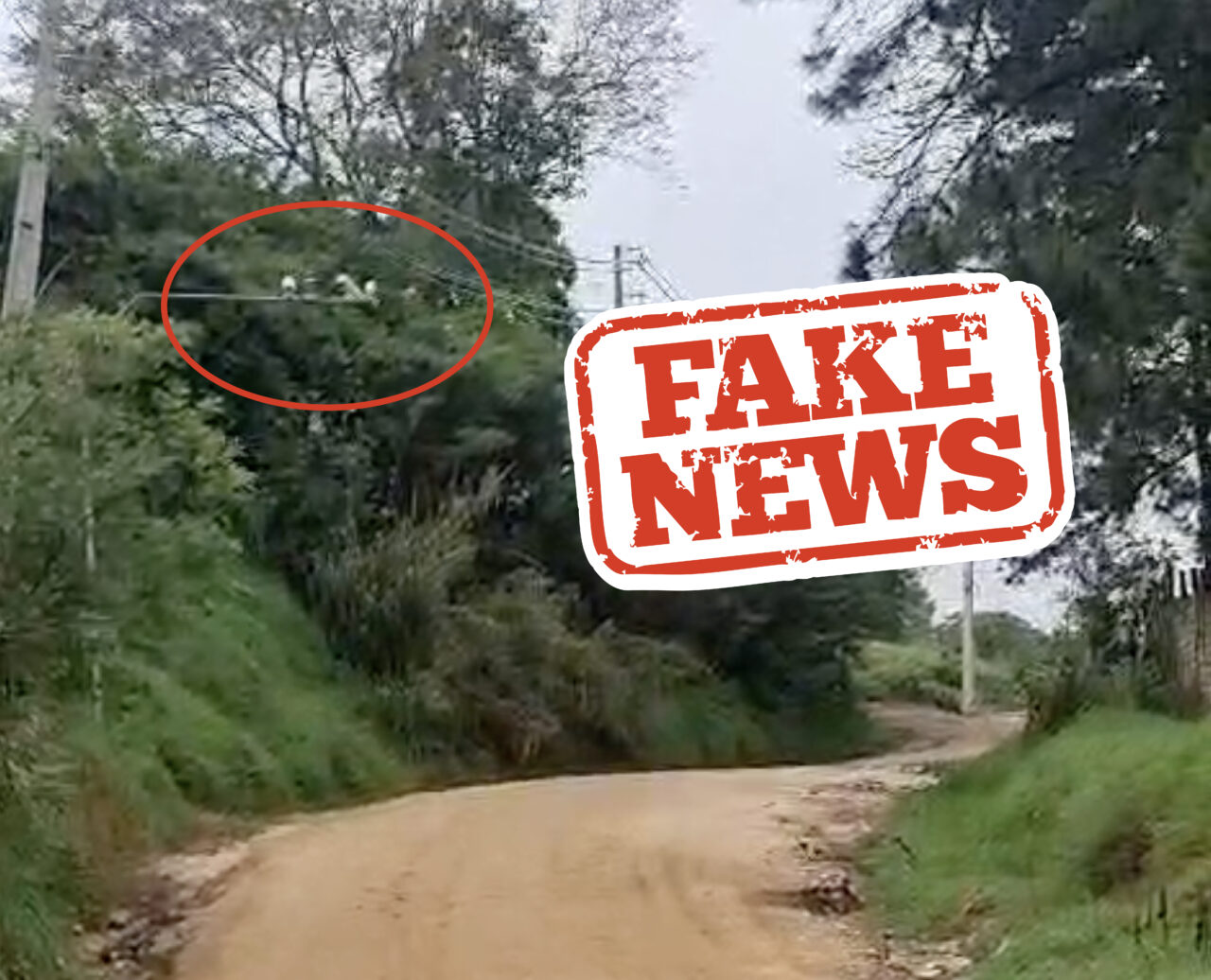 Radar na estrada do Alagados? Prefeitura desmente fake news