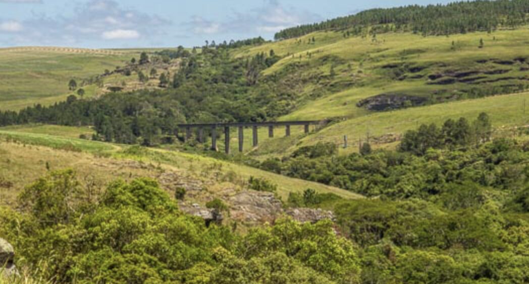Ciclista morre após cair de ponte na região do São Jorge, em Ponta Grossa