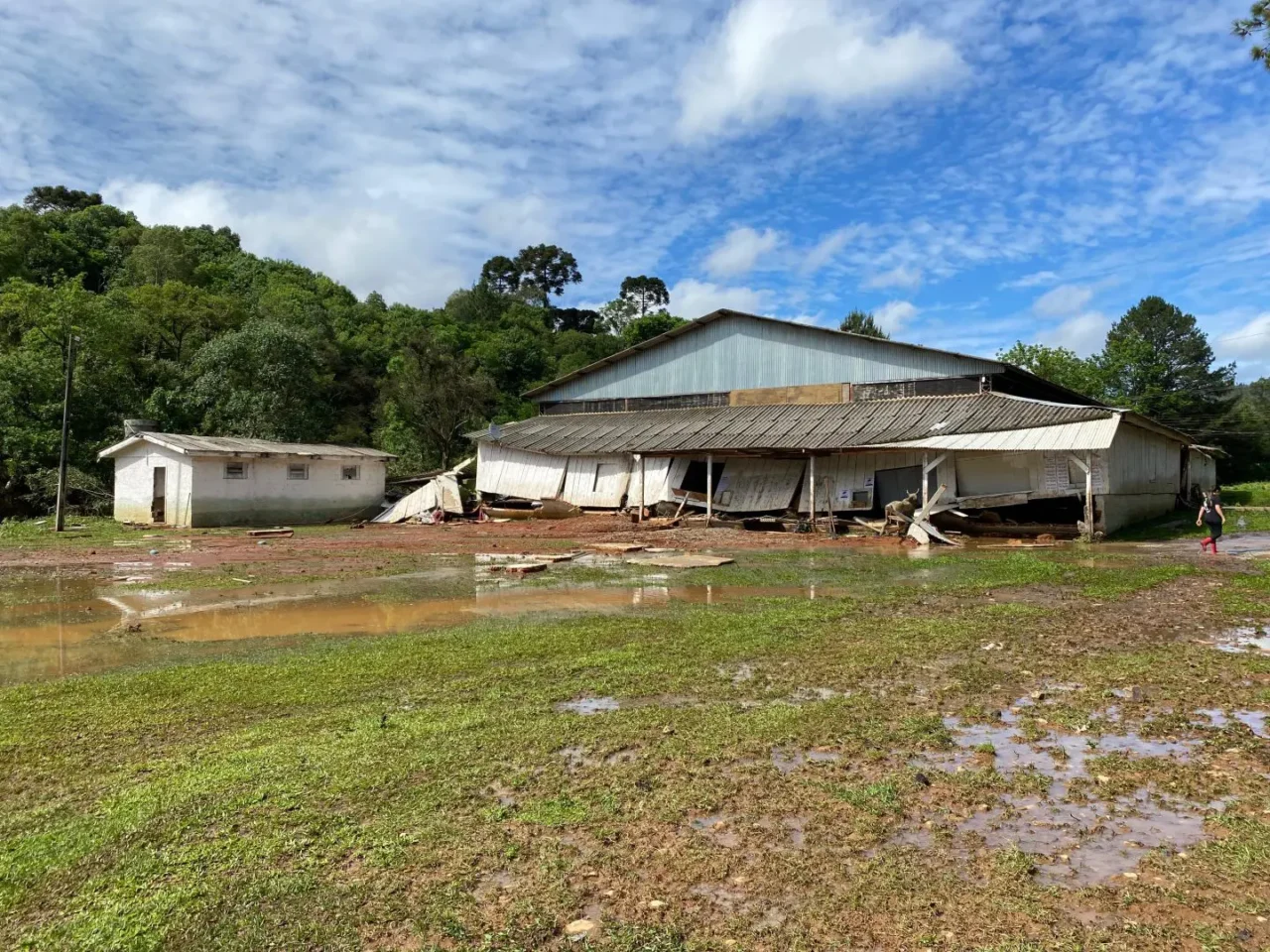 Criança desaparece em General Carneiro após ser arrastada por enxurrada durante fortes chuvas