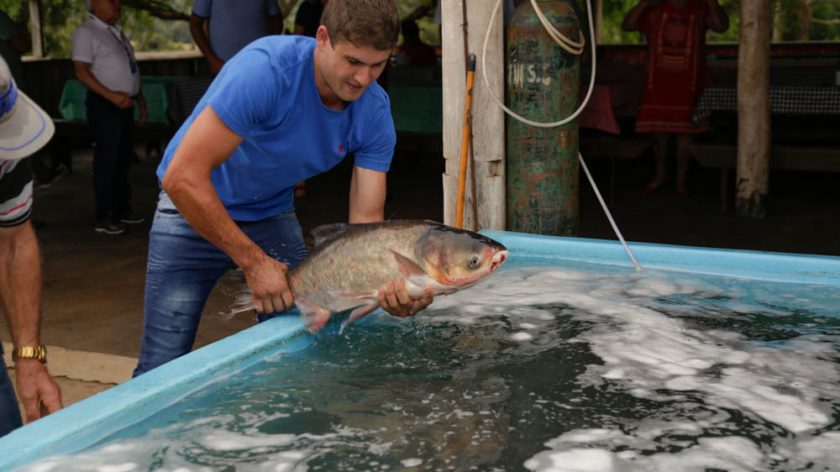 Feira do Peixe em andamento, venda segue até sexta-feira em PG