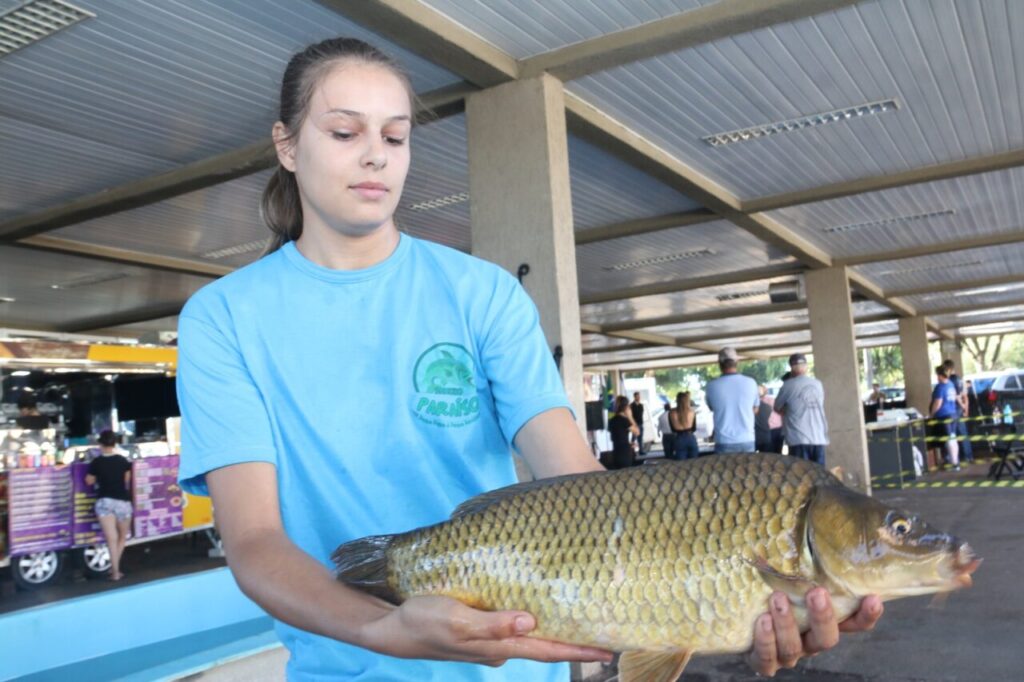 Prefeitura define detalhes da 22ª Feira do Peixe em Ponta Grossa