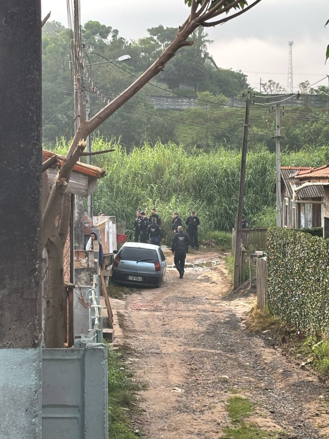 Quatro presos em operação contra o tráfico em Ponta Grossa