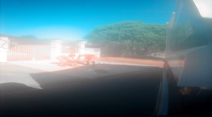 Ataque de pitbull a coletores de lixo em Ponta Grossa é investigado; tutor será responsabilizado