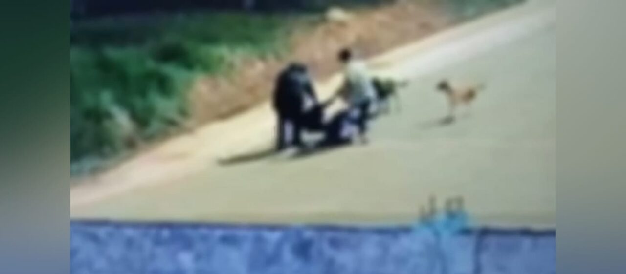 Mulher é presa e adolescente apreendido após homicídio a facadas em Ponta Grossa