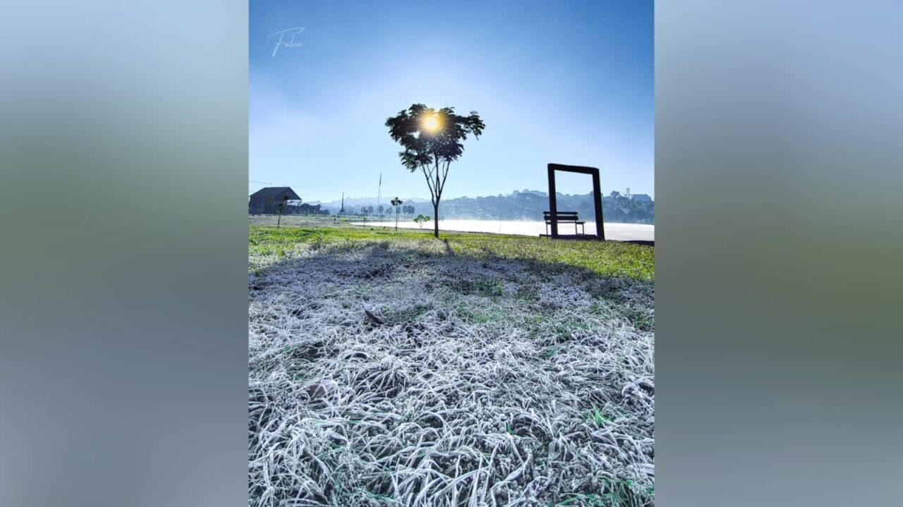 Geada cobre Ponta Grossa e seguidores registram o fenômeno em diferentes regiões