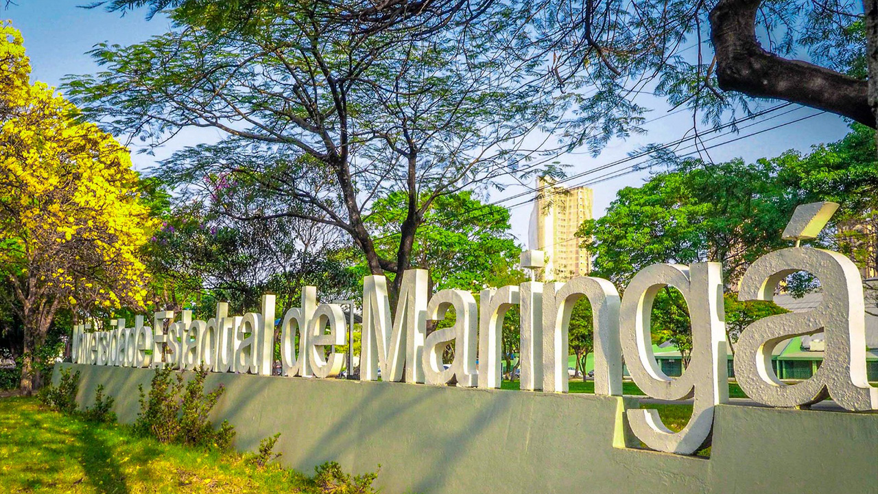 UEM abre inscrições do Vestibular de Verão e PAS 2025