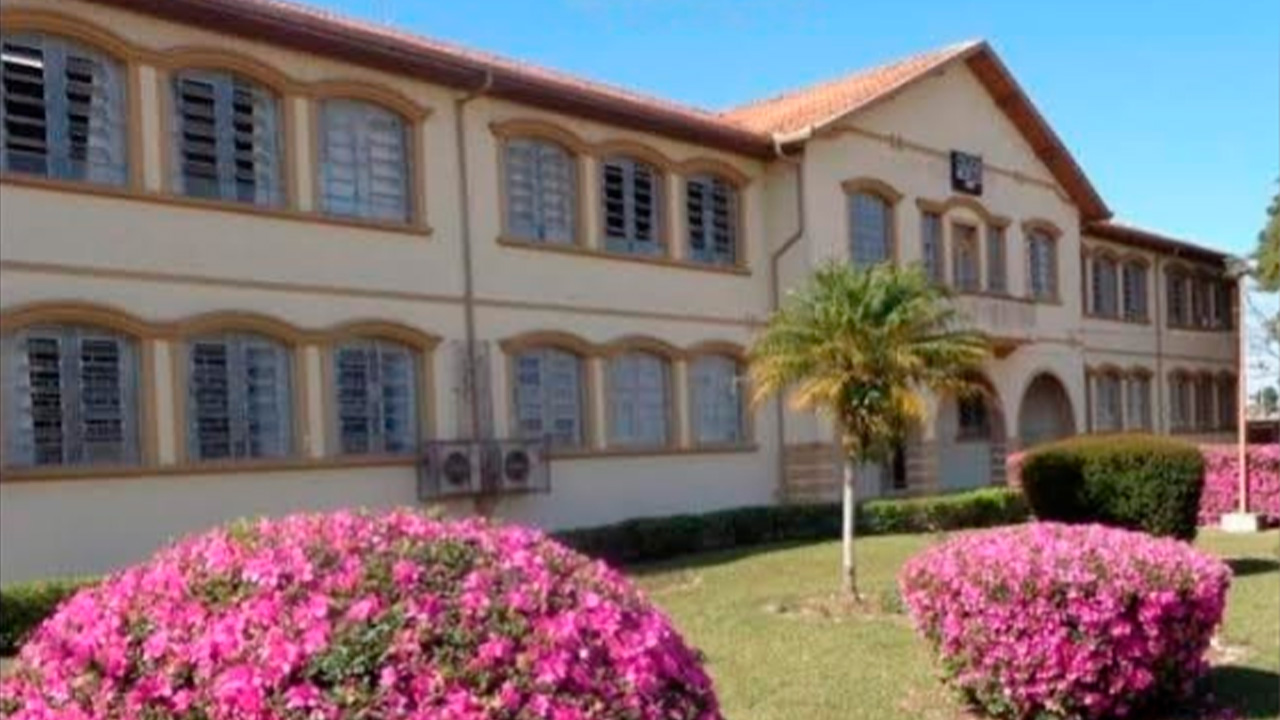 Colégio Meneleu oferta curso gratuito em Administração; incrição até dia 15